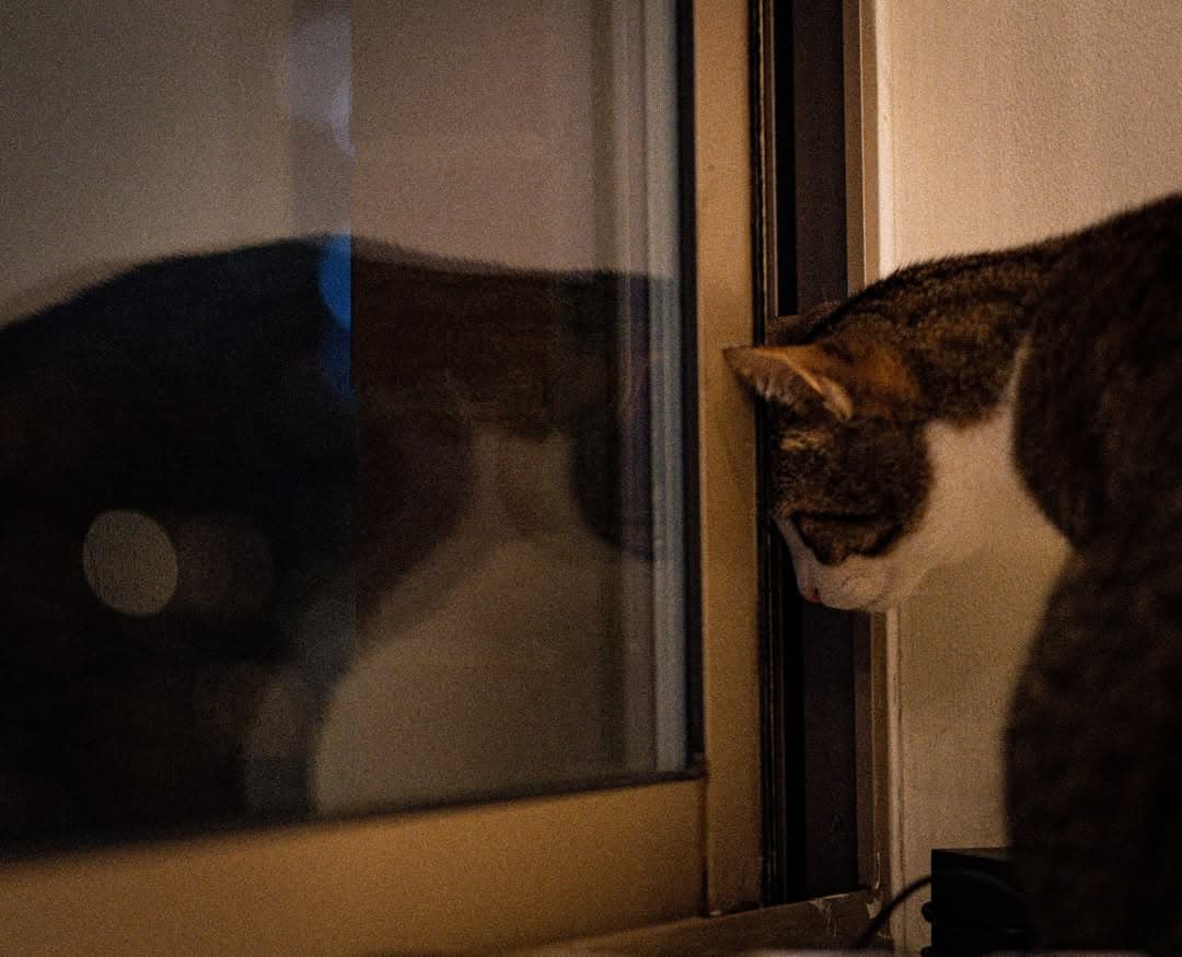 "I wonder what's out there" - (probably) by steven.photography